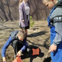 САД ПАМЯТИ: 80 ЛЕТ ПОБЕДЫ