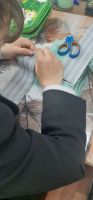 Картузы победы