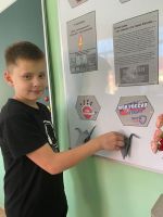 Журавли памяти