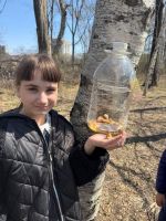 В гости к природе