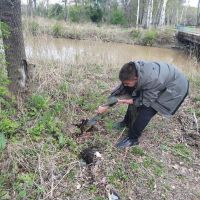 Чистый берег реки Раковка