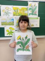 День одуванчика