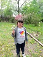 День одуванчика