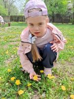 День одуванчика