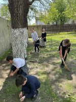 Маленькие помощники