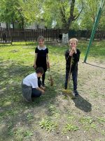 Маленькие помощники