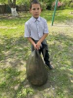 Маленькие помощники