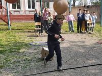 Армейские игры