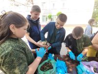 Фестиваль движения первых