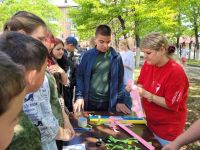 Фестиваль движения первых