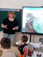 День окрошки