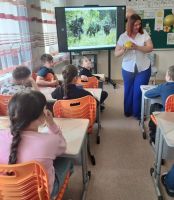 На страже границы