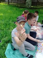 День пикника